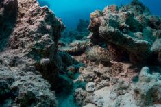 Hurghada - Abu Ramada South 1875627