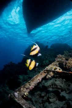 Hurghada - Abu Ramada South 1875627