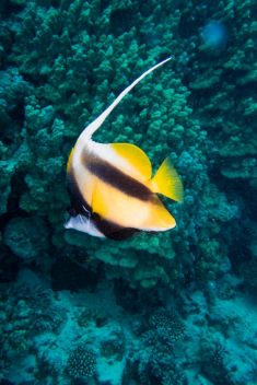 Hurghada - Abu Ramada South 1875628