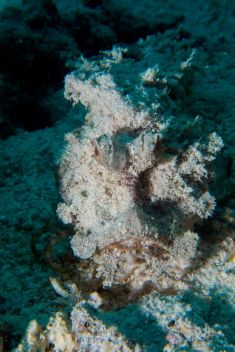 Hurghada - El Erouk Maksour 1875632