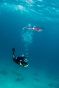 Hurghada - El Sachwa Lagoon 1875633