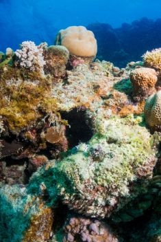 Hurghada - El Sachwa Lagoon 1875633