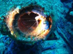 3458288