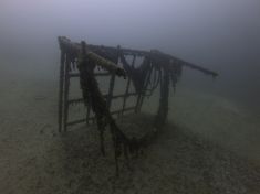 3744081