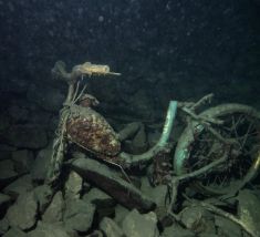 3946368