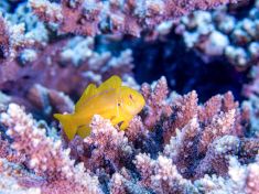 4129089