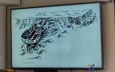 3960931