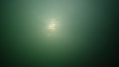2676609