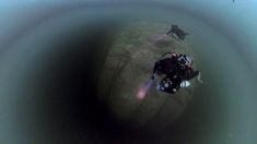 4015016